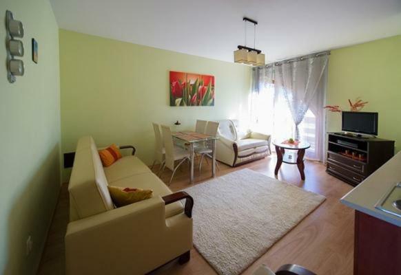 Ferienwohnung Panorama Koscielisko Zakopane Exterior foto