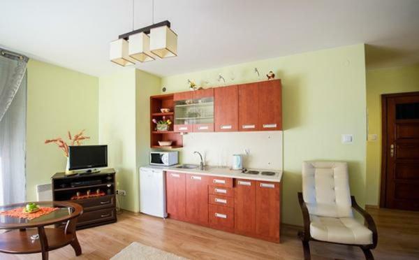 Ferienwohnung Panorama Koscielisko Zakopane Exterior foto