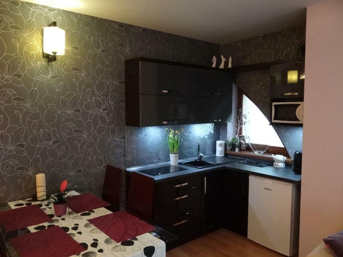 Ferienwohnung Panorama Koscielisko Zakopane Exterior foto