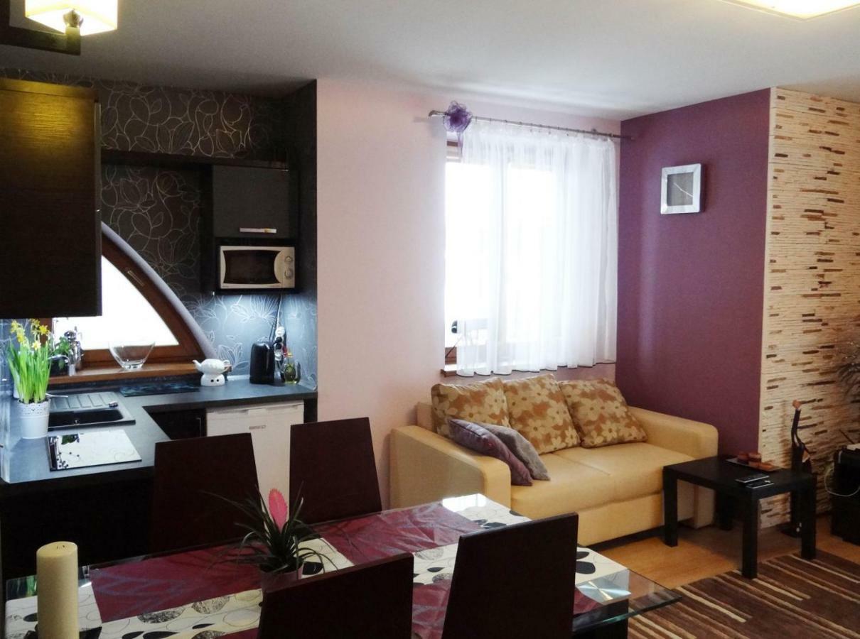 Ferienwohnung Panorama Koscielisko Zakopane Exterior foto